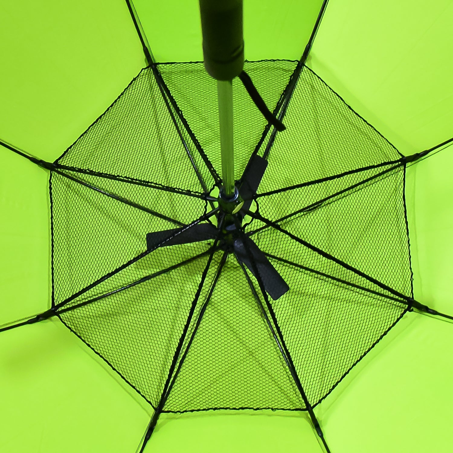 Cute Umbrella Cute Umbrella